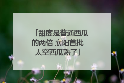 甜度是普通西瓜的两倍 襄阳首批太空西瓜熟了