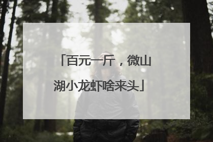 百元一斤，微山湖小龙虾啥来头