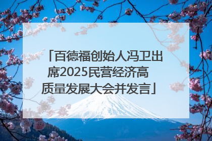 百德福创始人冯卫出席2025民营经济高质量发展大会并发言