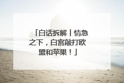 白话拆解丨情急之下，白宫敲打欧盟和苹果！