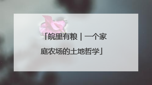 皖里有粮｜一个家庭农场的土地哲学