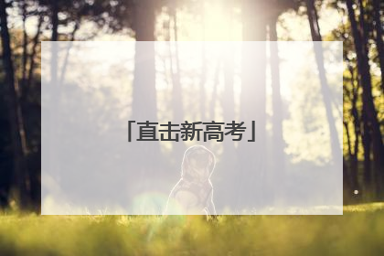 直击新高考