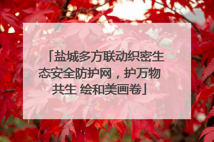 盐城多方联动织密生态安全防护网，护万物共生 绘和美画卷