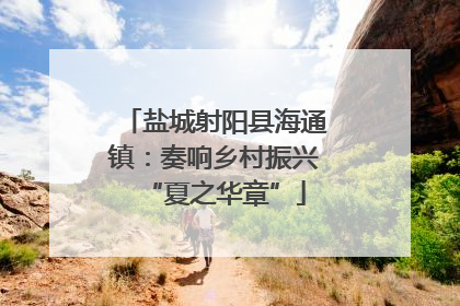盐城射阳县海通镇：奏响乡村振兴“夏之华章”