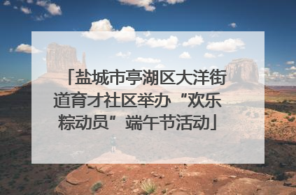 盐城市亭湖区大洋街道育才社区举办“欢乐粽动员”端午节活动