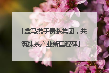 盒马携手贵茶集团，共筑抹茶产业新里程碑