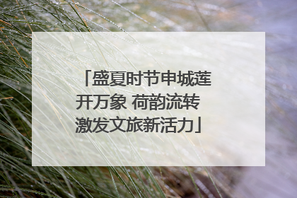 盛夏时节申城莲开万象 荷韵流转激发文旅新活力