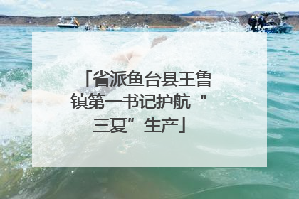 省派鱼台县王鲁镇第一书记护航“三夏”生产