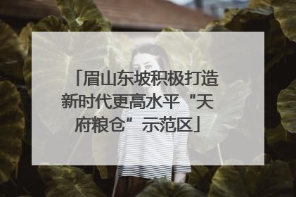 眉山东坡积极打造新时代更高水平“天府粮仓”示范区