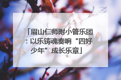 眉山仁师附小管乐团：以乐铸魂奏响“四好少年”成长乐章
