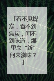 看不见煤炭，看不到焦炭，闻不到味道，煤里烹“新”何来滋味？