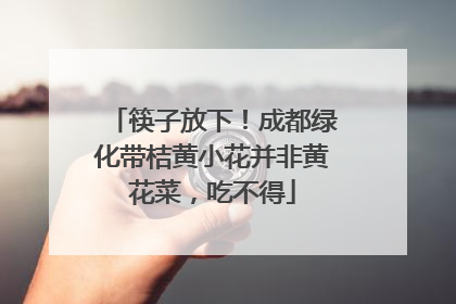 筷子放下！成都绿化带桔黄小花并非黄花菜，吃不得