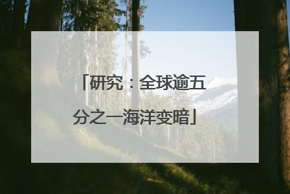 研究：全球逾五分之一海洋变暗