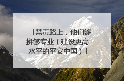 禁毒路上，他们够拼够专业（建设更高水平的平安中国）