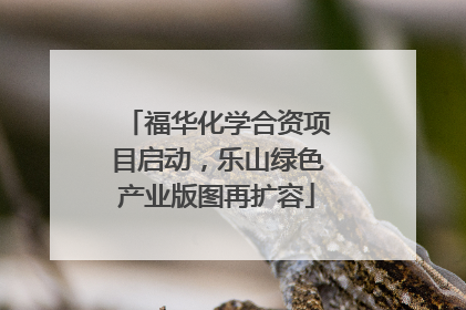 福华化学合资项目启动，乐山绿色产业版图再扩容