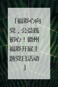 福彩心向党，公益践初心！德州福彩开展主题党日活动