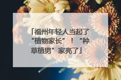 福州年轻人当起了“植物家长”！“种草植男”家亮了