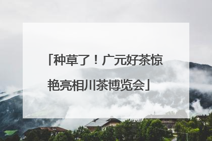 种草了！广元好茶惊艳亮相川茶博览会