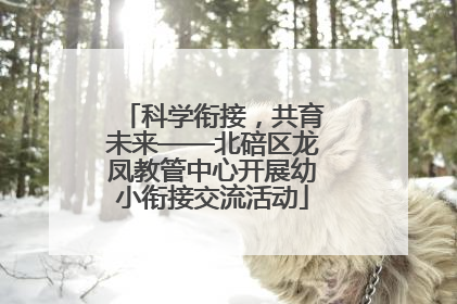 科学衔接，共育未来——北碚区龙凤教管中心开展幼小衔接交流活动