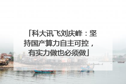 科大讯飞刘庆峰：坚持国产算力自主可控，有实力做也必须做