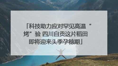 科技助力应对罕见高温“烤”验 四川自贡这片稻田即将迎来头季孕穗期