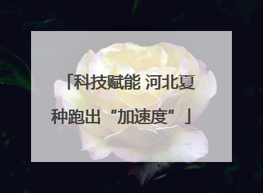 科技赋能 河北夏种跑出“加速度”