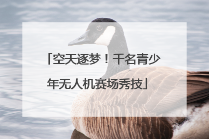 空天逐梦！千名青少年无人机赛场秀技