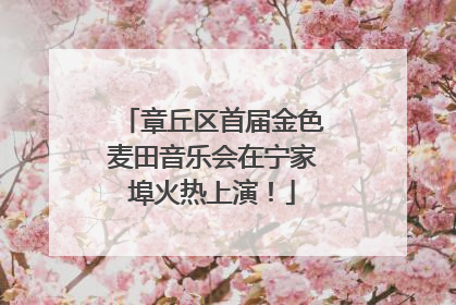 章丘区首届金色麦田音乐会在宁家埠火热上演！