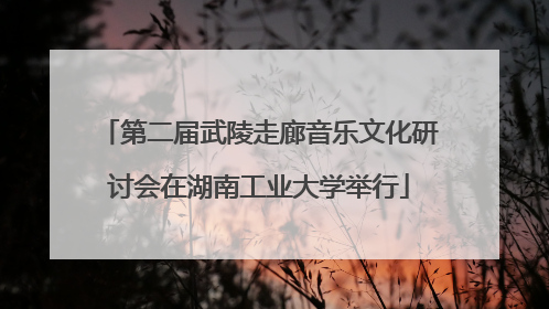 第二届武陵走廊音乐文化研讨会在湖南工业大学举行