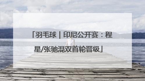 羽毛球｜印尼公开赛：程星/张驰混双首轮晋级