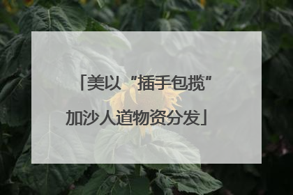美以“插手包揽”加沙人道物资分发