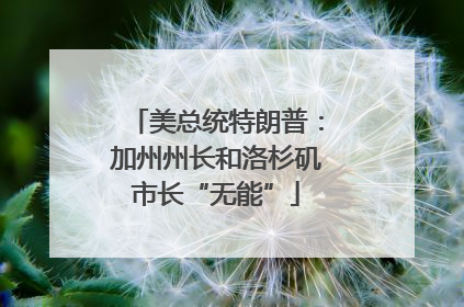 美总统特朗普：加州州长和洛杉矶市长“无能”