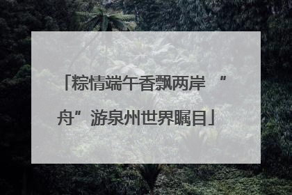 粽情端午香飘两岸 “舟”游泉州世界瞩目
