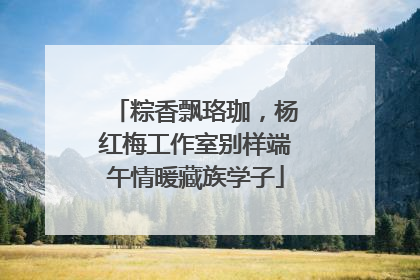粽香飘珞珈，杨红梅工作室别样端午情暖藏族学子