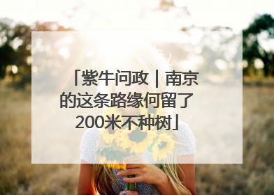 紫牛问政｜南京的这条路缘何留了200米不种树