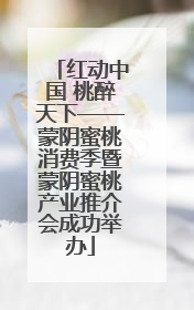 红动中国 桃醉天下——蒙阴蜜桃消费季暨蒙阴蜜桃产业推介会成功举办