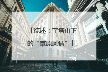 综述：宝塔山下的“草原风情”