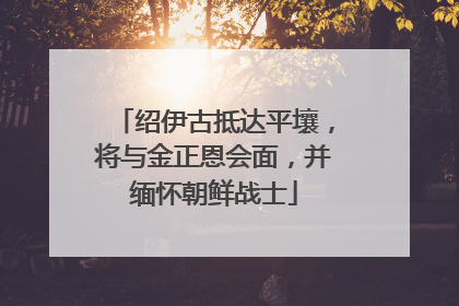 绍伊古抵达平壤，将与金正恩会面，并缅怀朝鲜战士