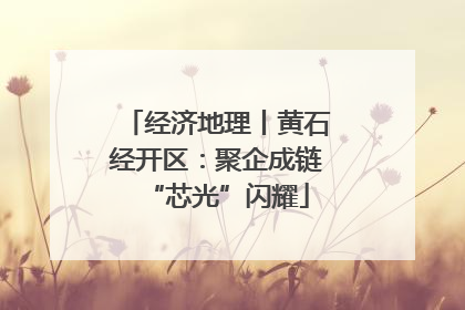 经济地理丨黄石经开区：聚企成链“芯光”闪耀