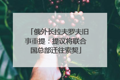俄外长拉夫罗夫旧事重提：提议将联合国总部迁往索契