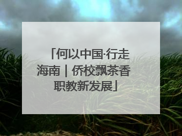 何以中国·行走海南｜侨校飘茶香 职教新发展