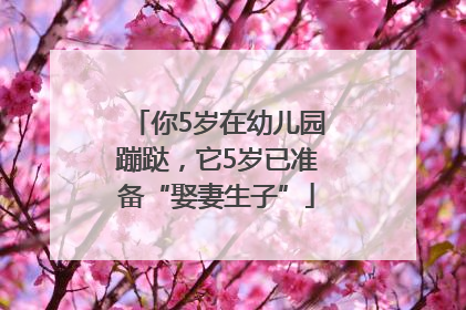 你5岁在幼儿园蹦跶，它5岁已准备“娶妻生子”