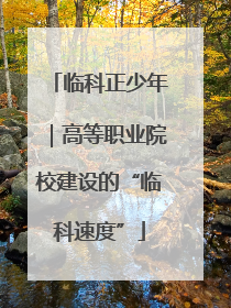 临科正少年｜高等职业院校建设的“临科速度”