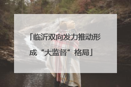 临沂双向发力推动形成“大监督”格局