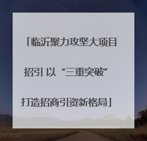 临沂聚力攻坚大项目招引 以“三重突破”打造招商引资新格局