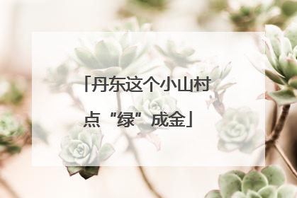 丹东这个小山村点“绿”成金
