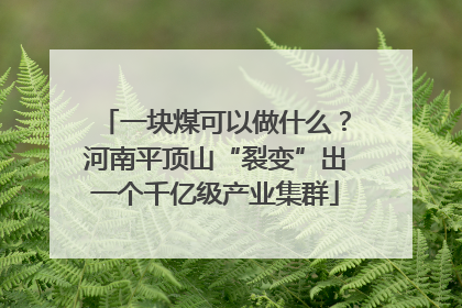 一块煤可以做什么？河南平顶山“裂变”出一个千亿级产业集群