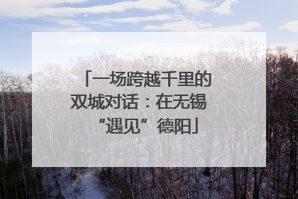 一场跨越千里的双城对话：在无锡“遇见”德阳
