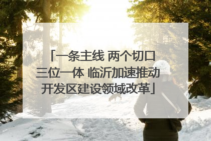一条主线 两个切口 三位一体 临沂加速推动开发区建设领域改革