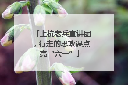 上杭老兵宣讲团，行走的思政课点亮“六一”